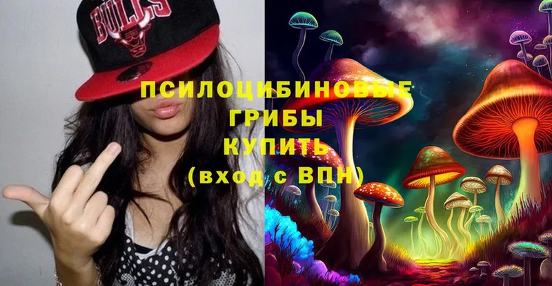 Галлюциногенные грибы Cubensis  Донской 